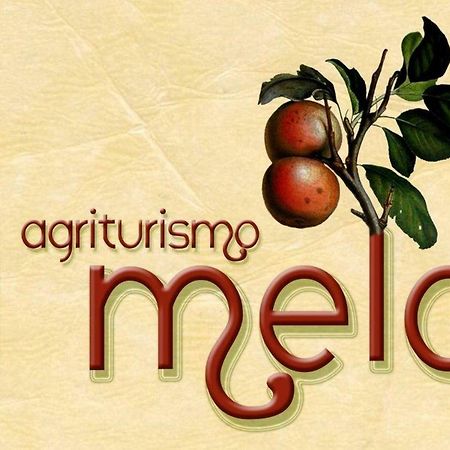 Agriturismo Il Melo Valfabbrica ภายนอก รูปภาพ