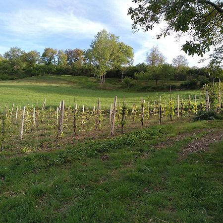 Agriturismo Il Melo Valfabbrica ภายนอก รูปภาพ