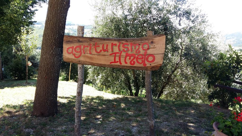 Agriturismo Il Melo Valfabbrica ภายนอก รูปภาพ