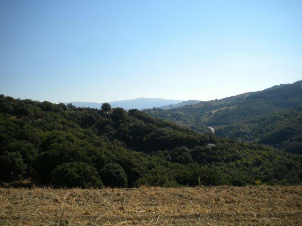 Agriturismo Il Melo Valfabbrica ภายนอก รูปภาพ