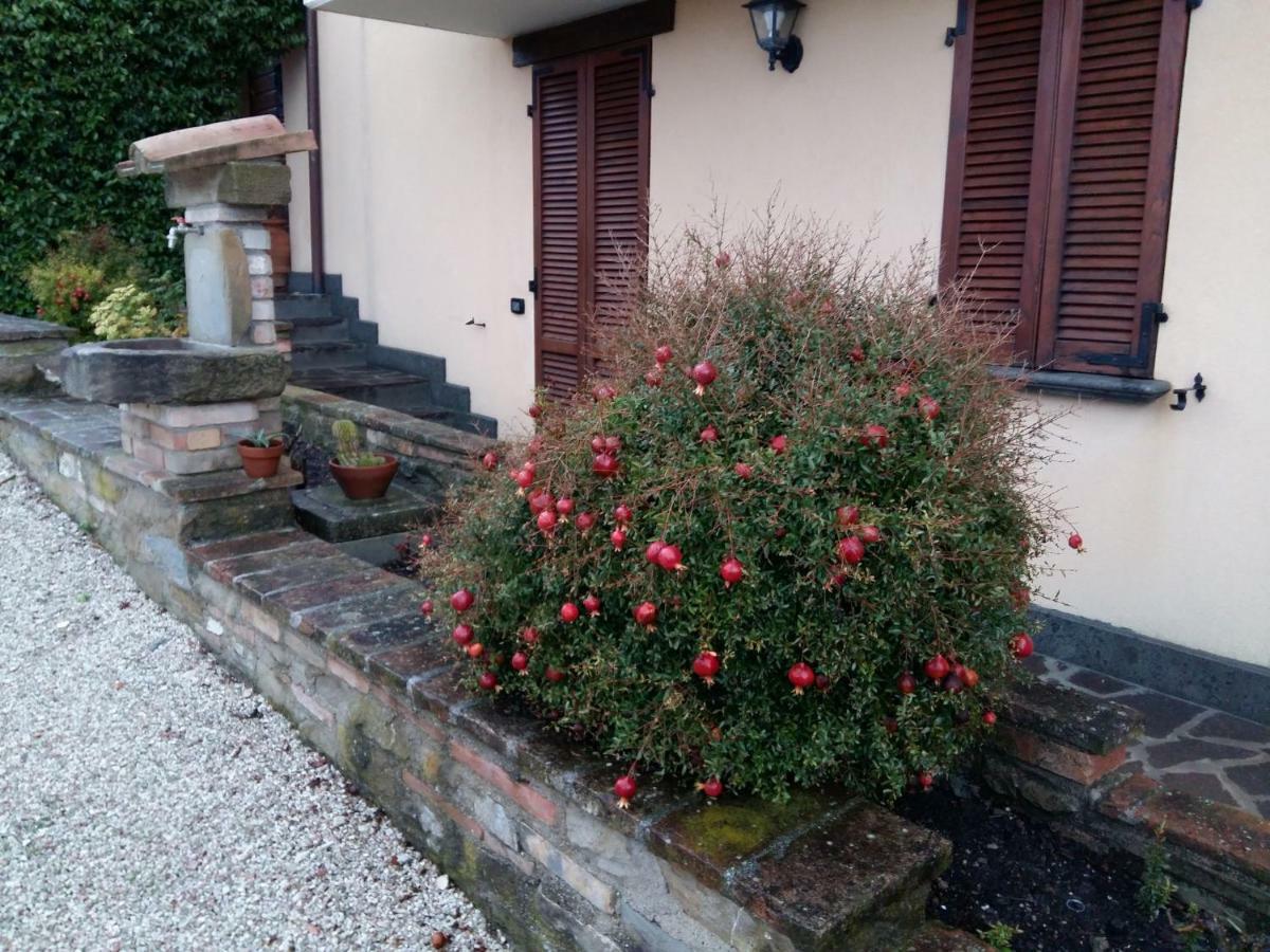 Agriturismo Il Melo Valfabbrica ภายนอก รูปภาพ